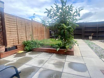 Picture 8